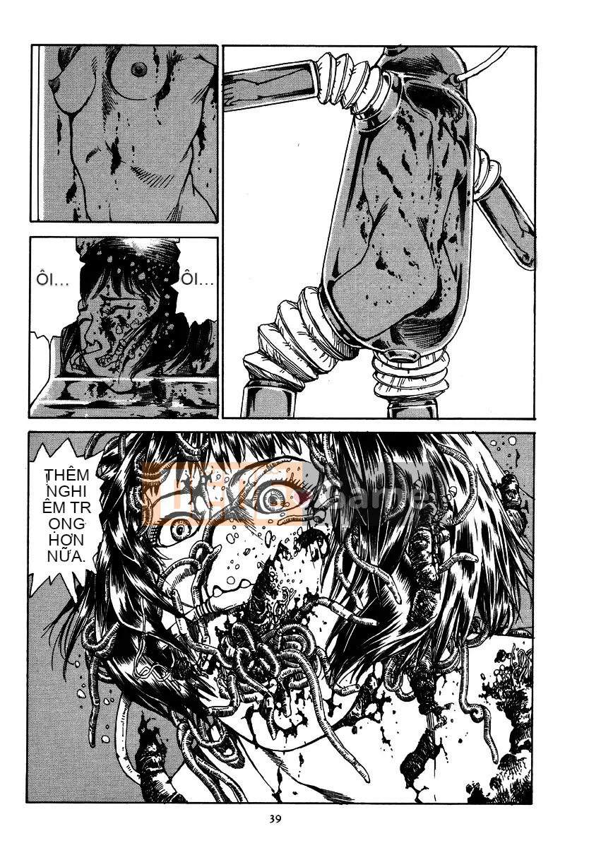 [Shintaro Kago] Tỏa sáng! Khối thịnh vượng chung Đại Đông Á