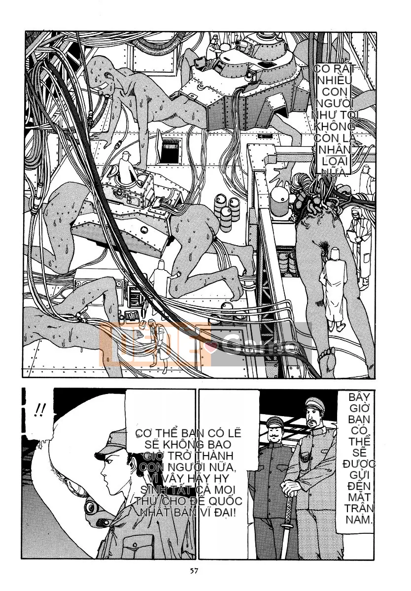 [Shintaro Kago] Tỏa sáng! Khối thịnh vượng chung Đại Đông Á