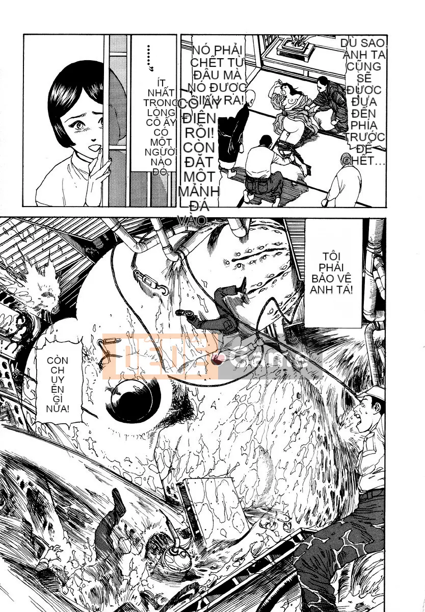 [Shintaro Kago] Tỏa sáng! Khối thịnh vượng chung Đại Đông Á