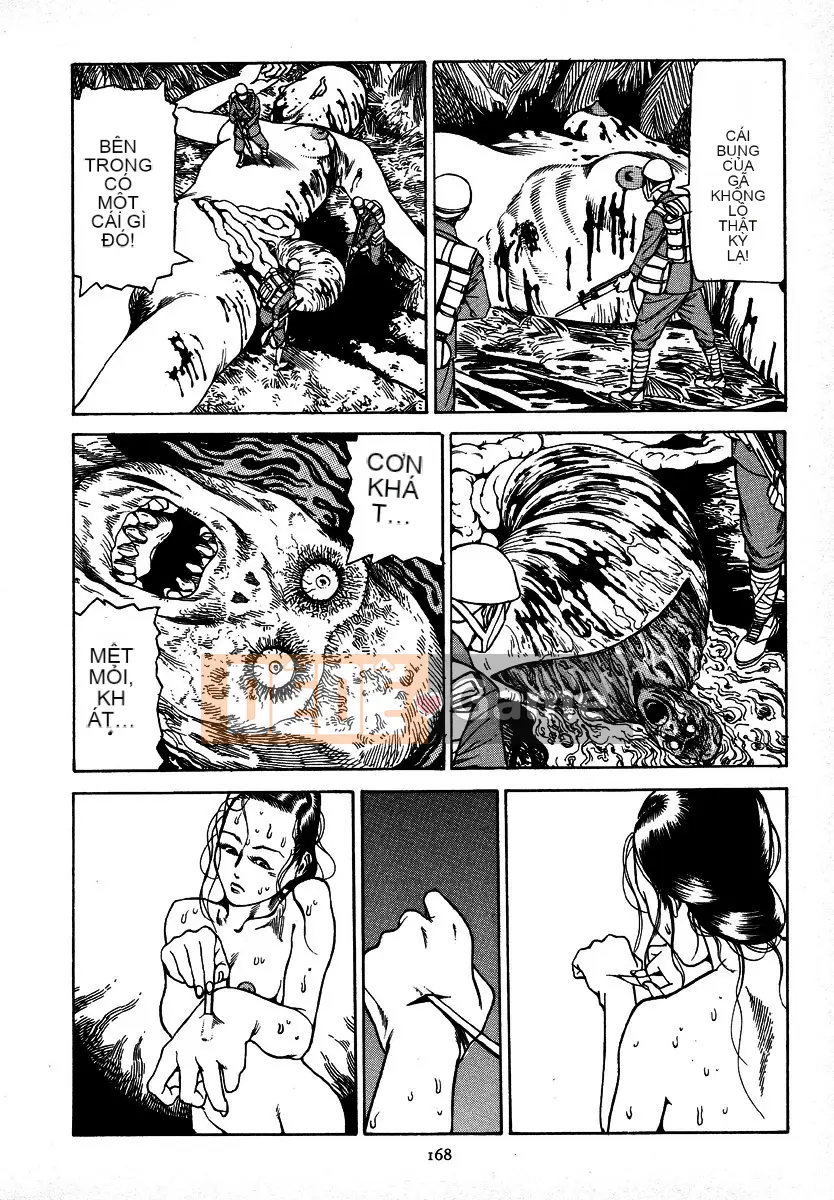 [Shintaro Kago] Tỏa sáng! Khối thịnh vượng chung Đại Đông Á