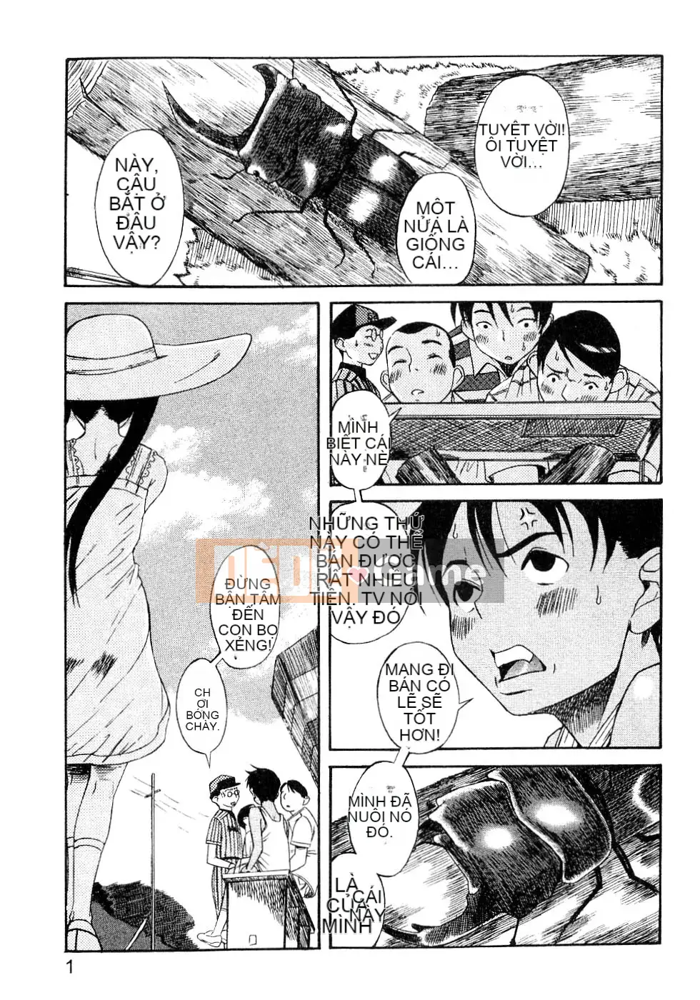 [Kiên nhẫn lãng mạn] Lỗi Kuwagata Kuwagata