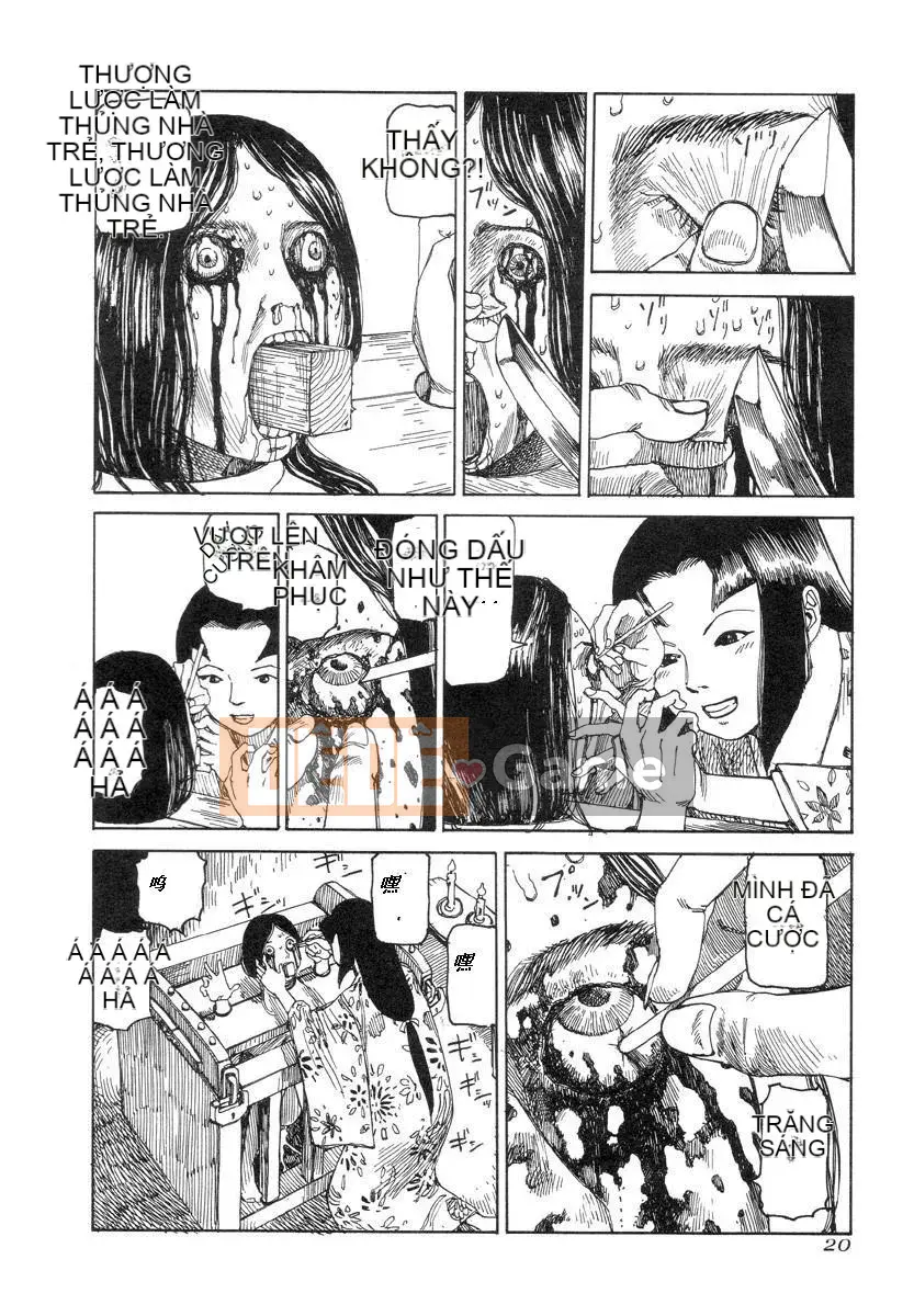 [King lồng Shintaro] Giấy vệ sinh Sha Sha