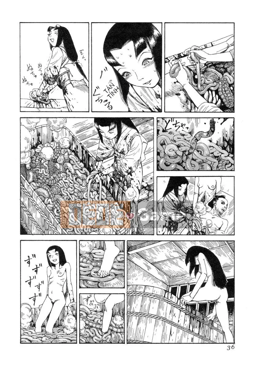 [King lồng Shintaro] Giấy vệ sinh Sha Sha