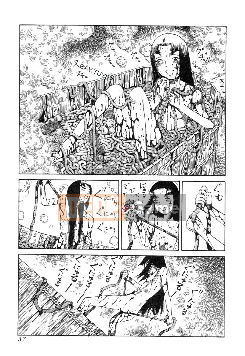 [King lồng Shintaro] Giấy vệ sinh Sha Sha