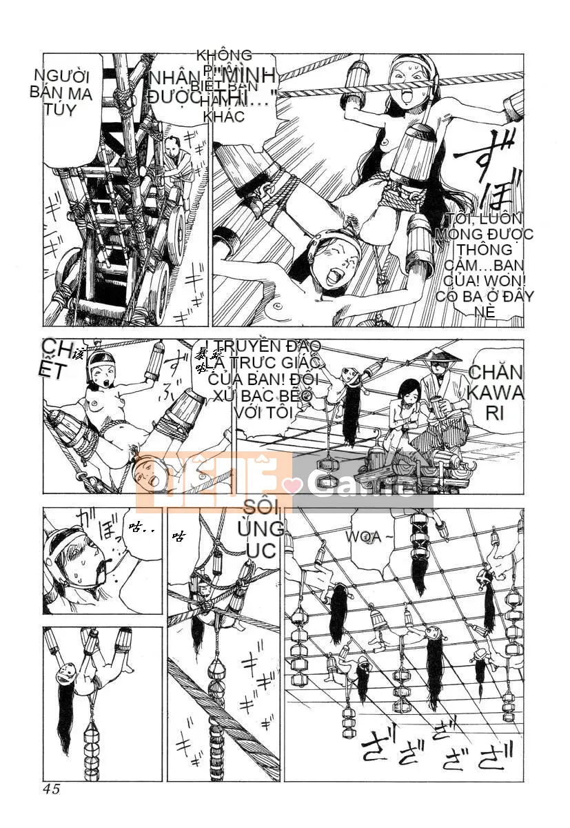 [King lồng Shintaro] Giấy vệ sinh Sha Sha