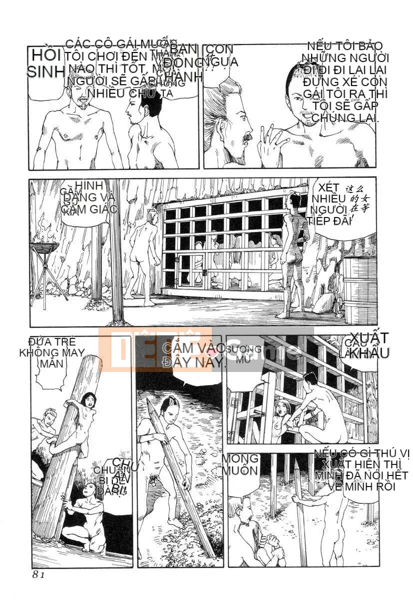 [King lồng Shintaro] Giấy vệ sinh Sha Sha