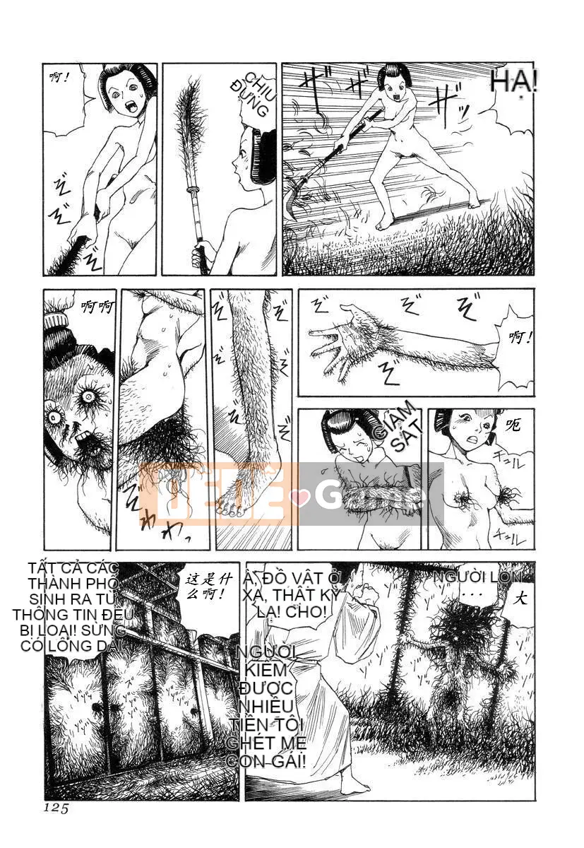 [King lồng Shintaro] Giấy vệ sinh Sha Sha