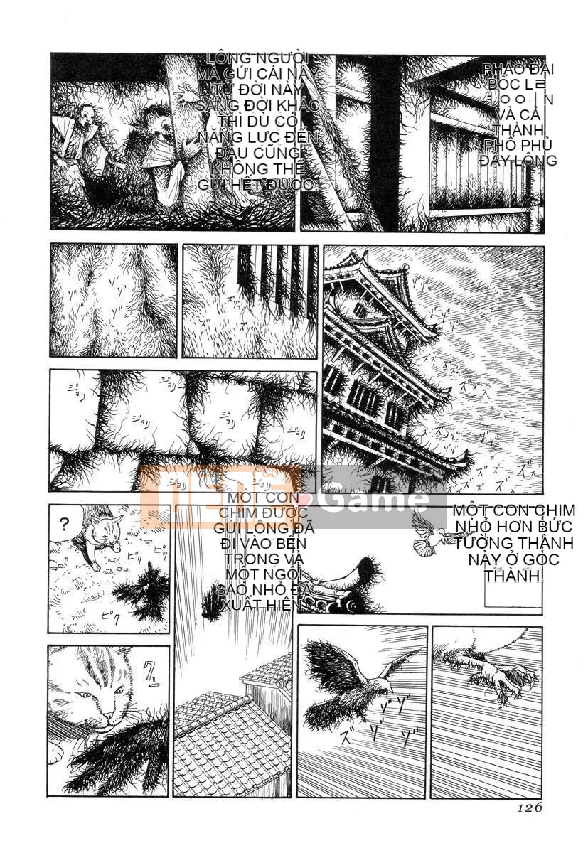 [King lồng Shintaro] Giấy vệ sinh Sha Sha