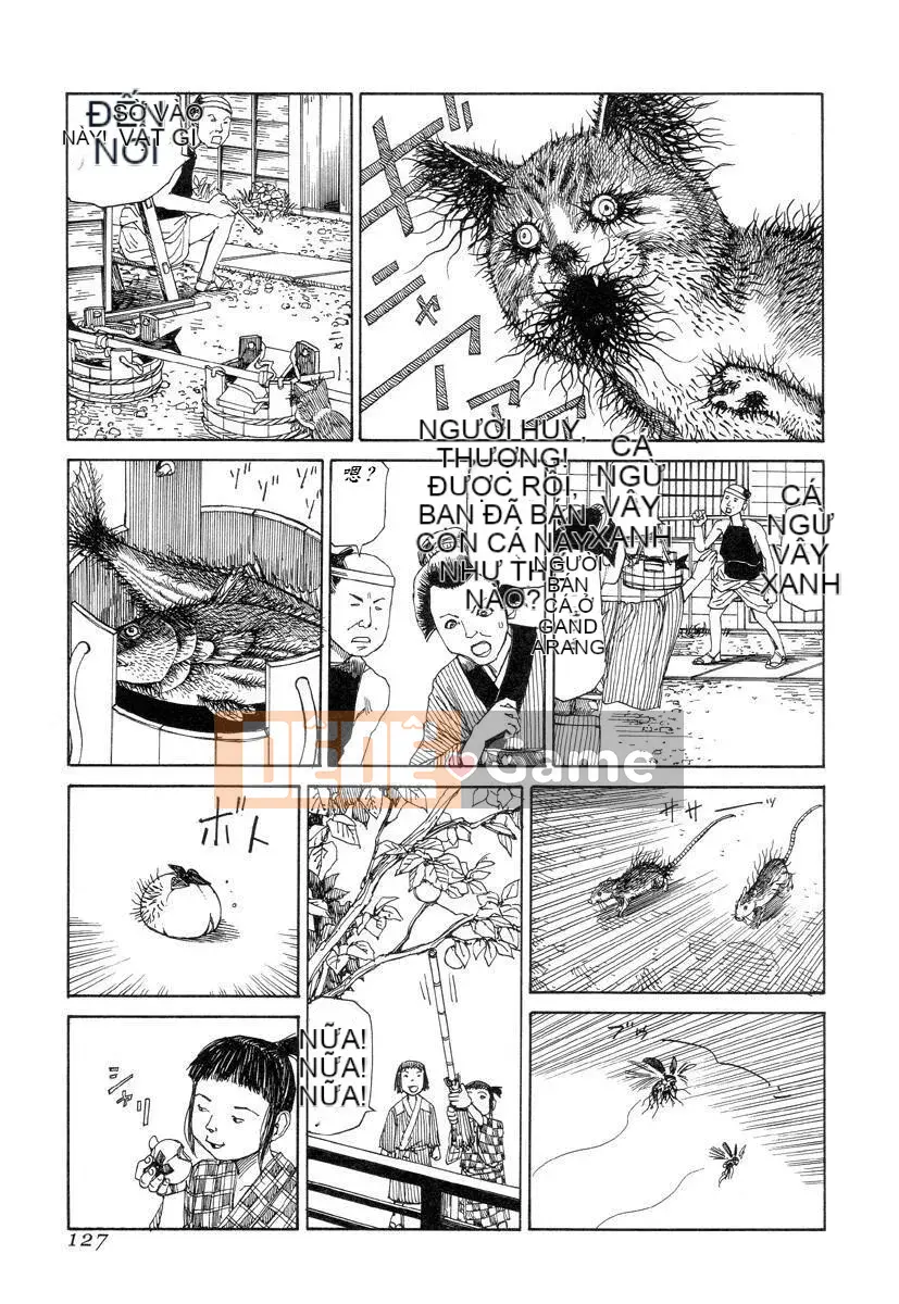 [King lồng Shintaro] Giấy vệ sinh Sha Sha