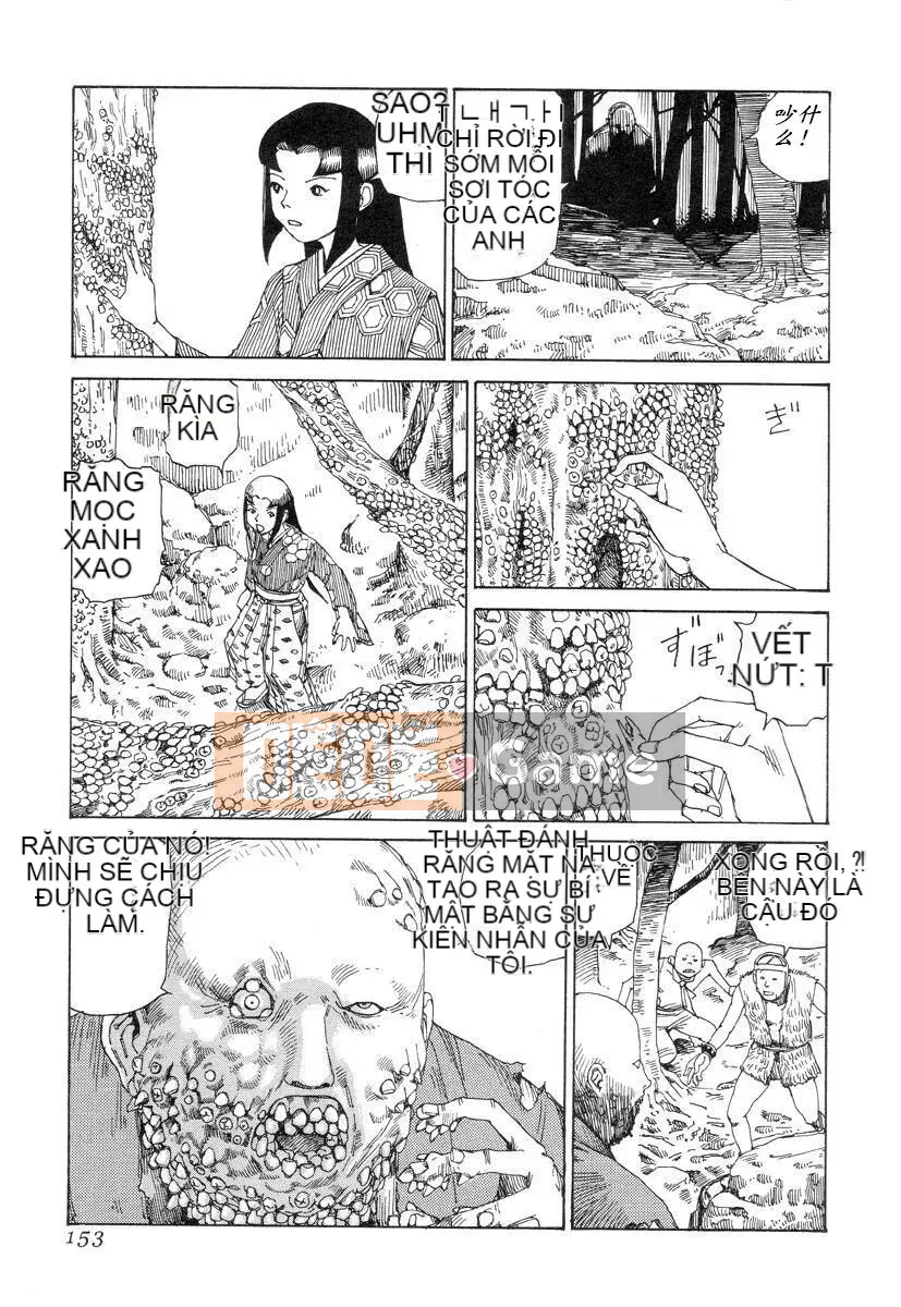 [King lồng Shintaro] Giấy vệ sinh Sha Sha