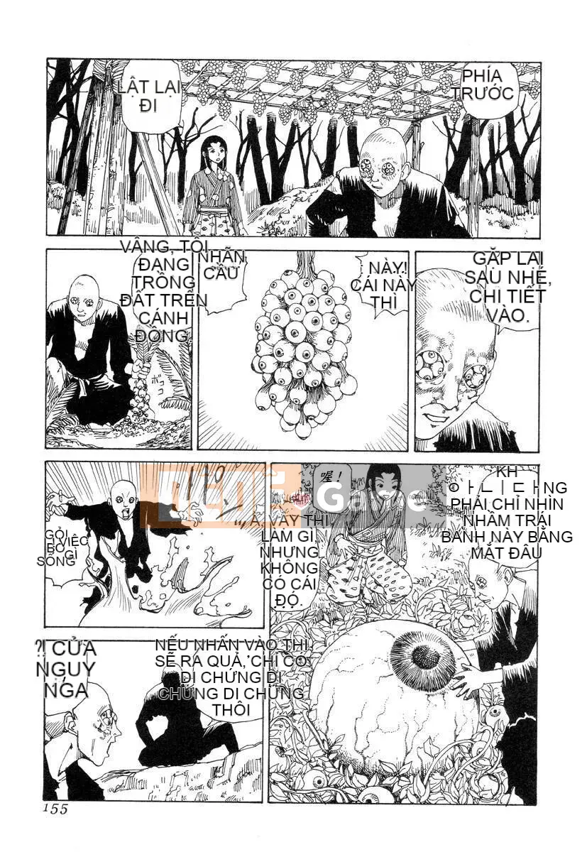 [King lồng Shintaro] Giấy vệ sinh Sha Sha