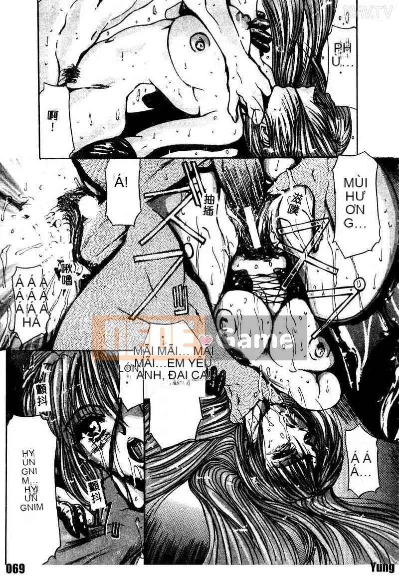 [GRIFON] D ngõ cụt E