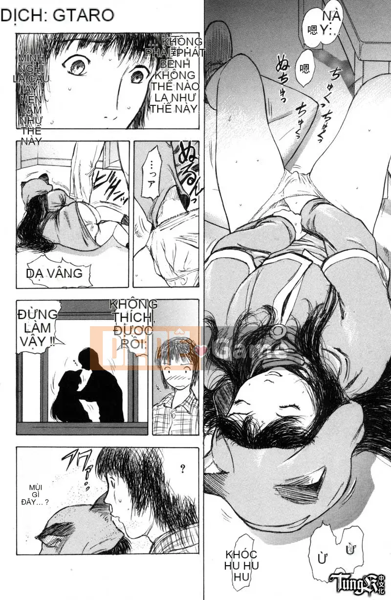 [Yamada Tahiti] Anh em họ