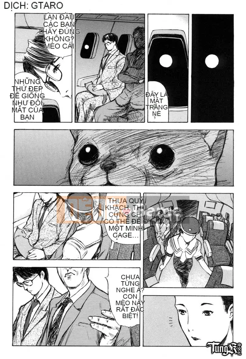 [Yamada Tahiti] Anh em họ