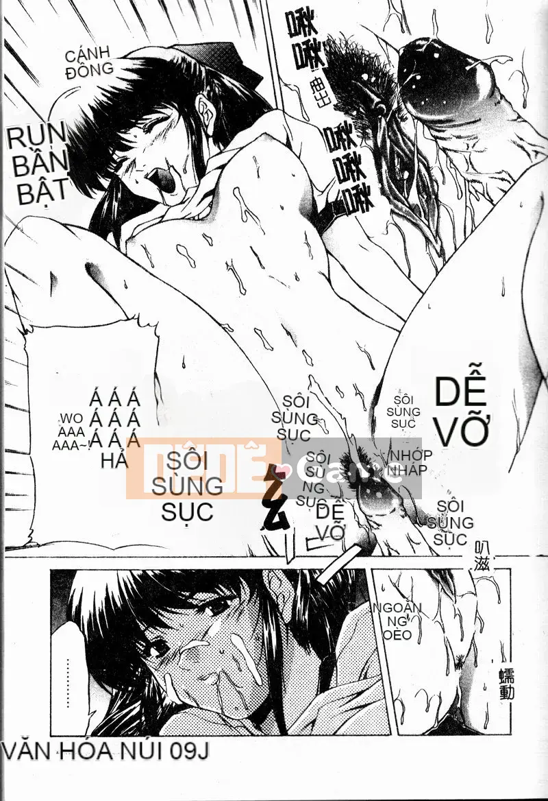 [Bộ Trung ương] Youin Kitan