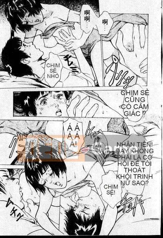 [August Kaoru] Hướng dẫn tuyển sinh trường đại học Dongda