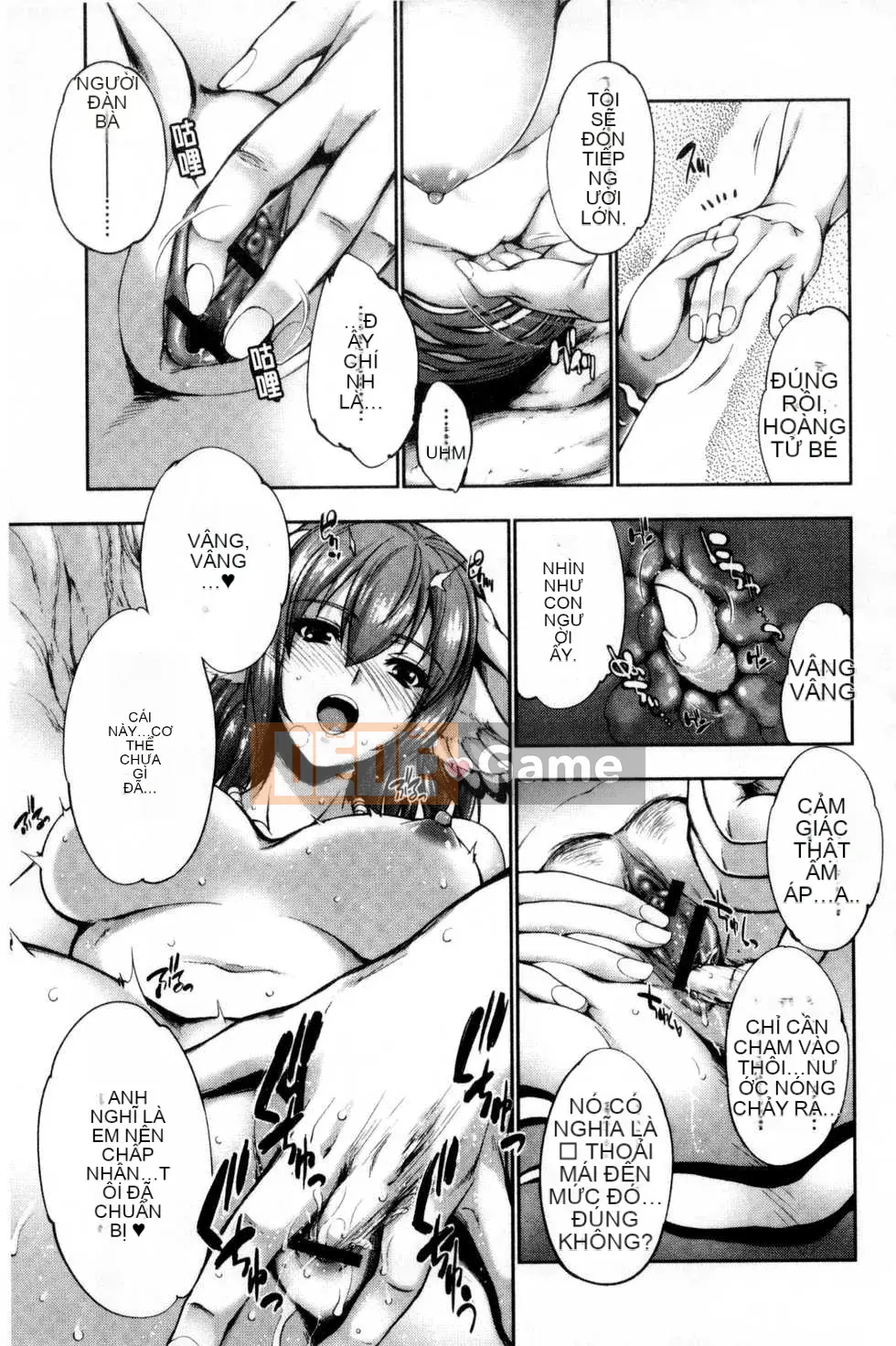 [GEN] HÔN NHÂN TUYỆT VỜI