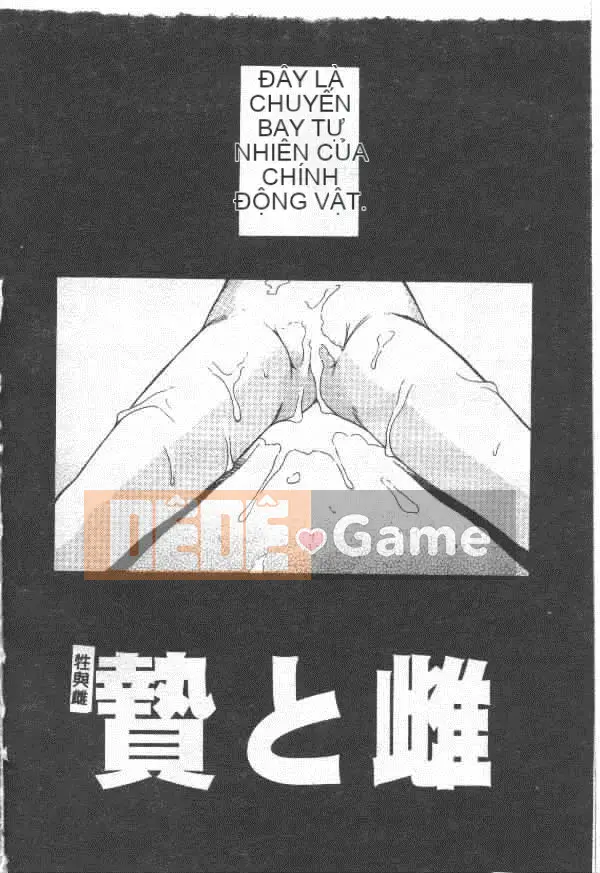 [Maruto!] Hy sinh và nữ