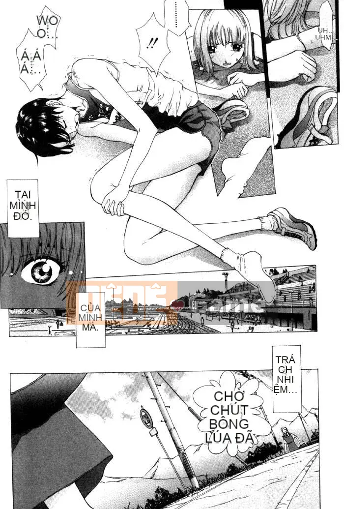 [Harazaki Kuma] Sân khấu vàng 4