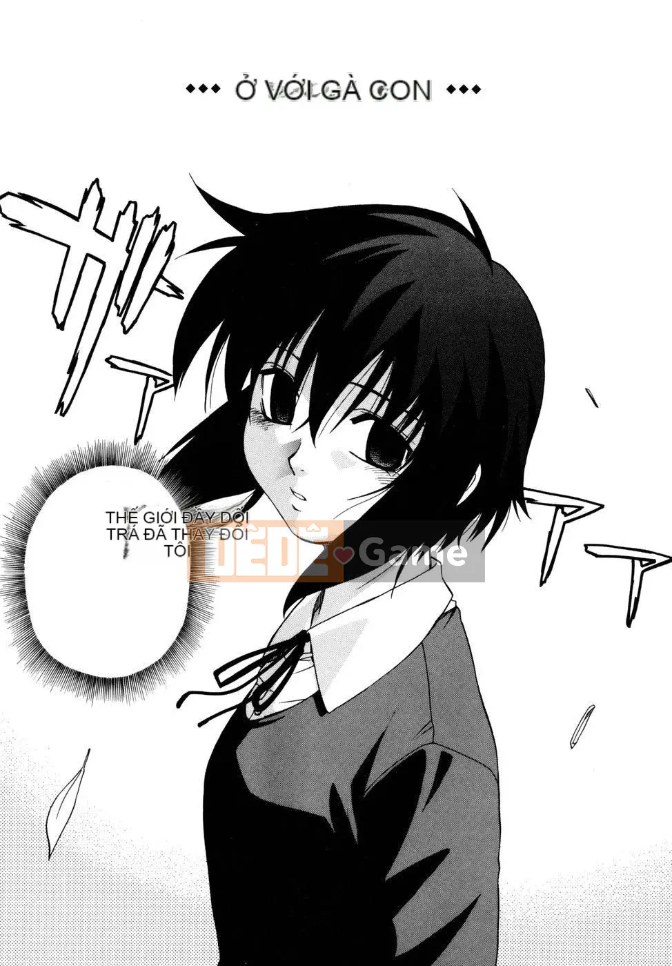 [Tiểu Hinata] Tất cả các vu nữ đều cười