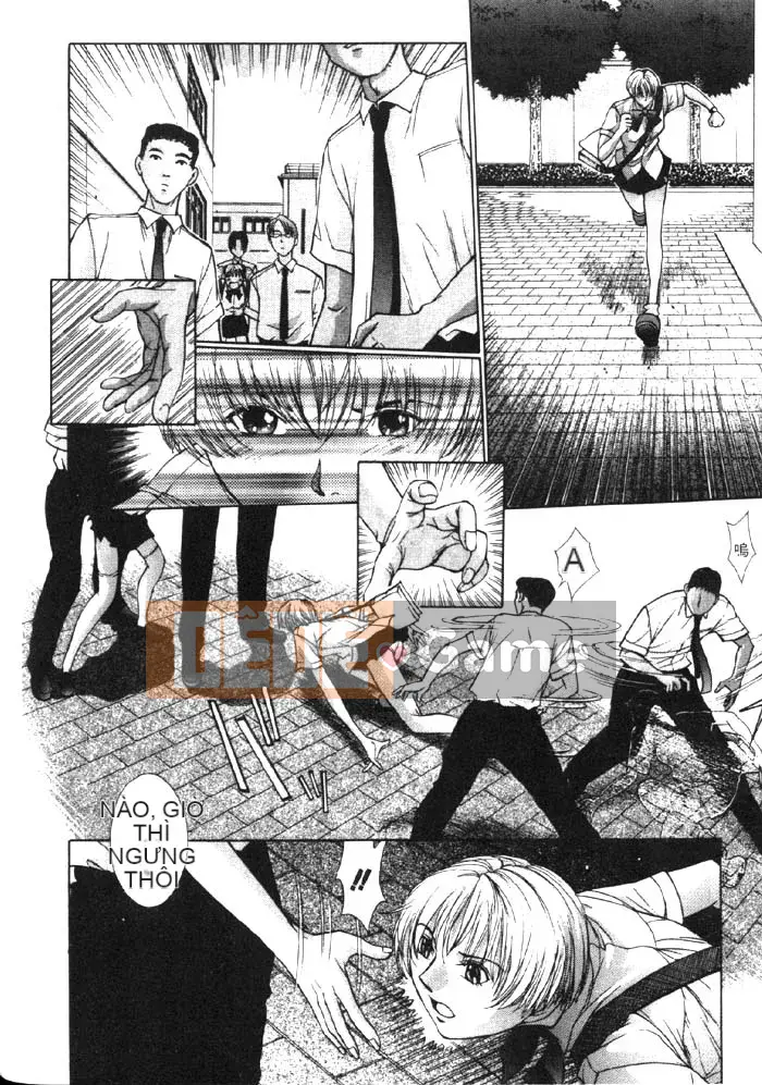 [Harazaki Kuma] Sân khấu vàng 2