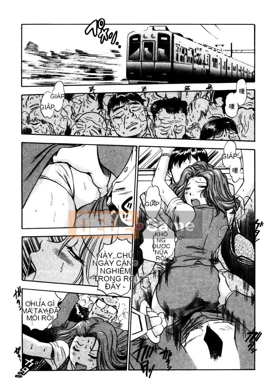 [THE SEIJI] Từ điển bách khoa sinh thái CV