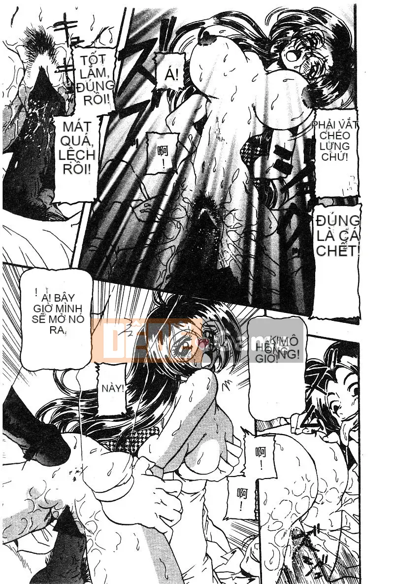 Truyện Tranh Công Chúa Trộm DELUXE