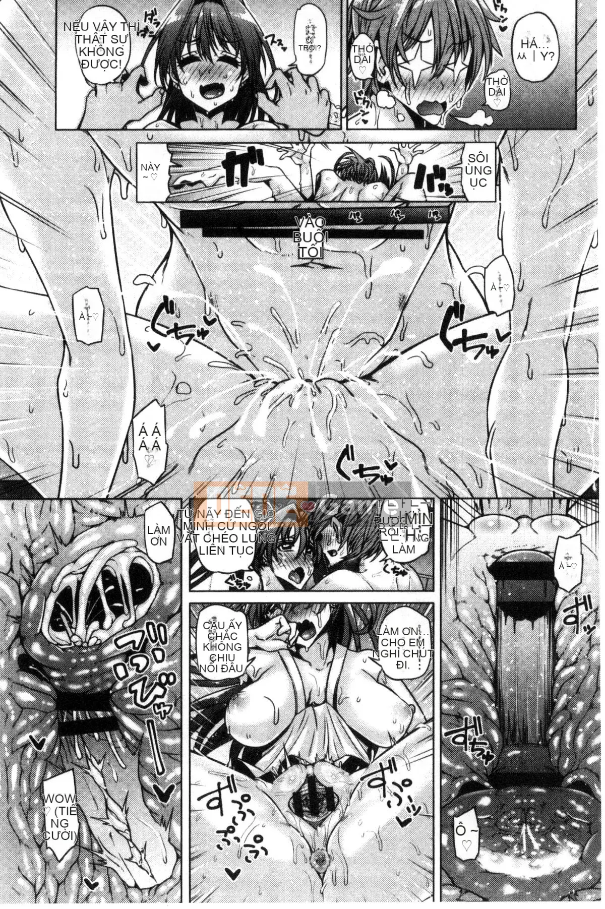 [Kazeteki Koubou][Tanizakura Weeping] Tình yêu giao phối