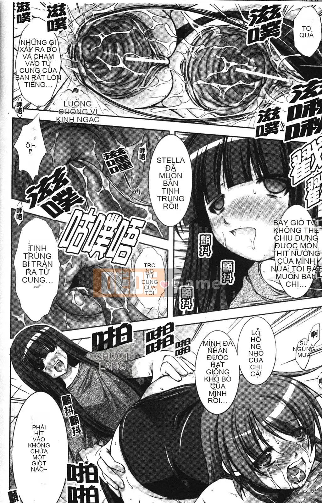 [Takane no Hana] Nhà thám hiểm tân binh