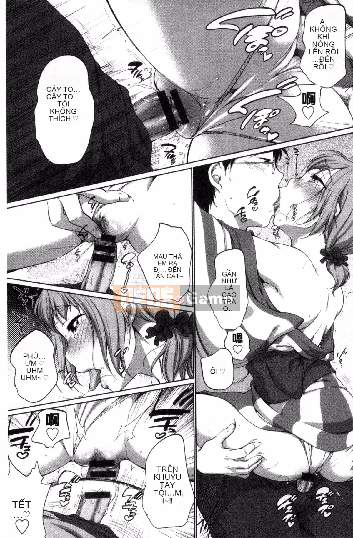 [Bằng] Estrus Madonna