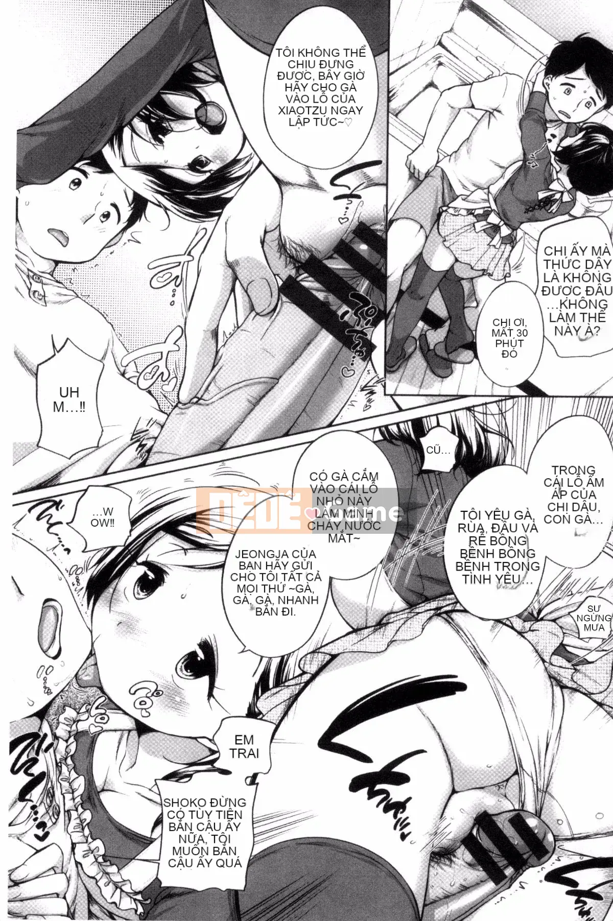 [Bằng] Estrus Madonna