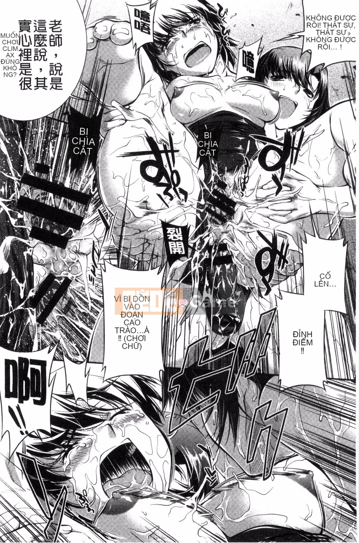 [Vận chuyển] [John Wetland King] Áo tắm trinh nữ +1