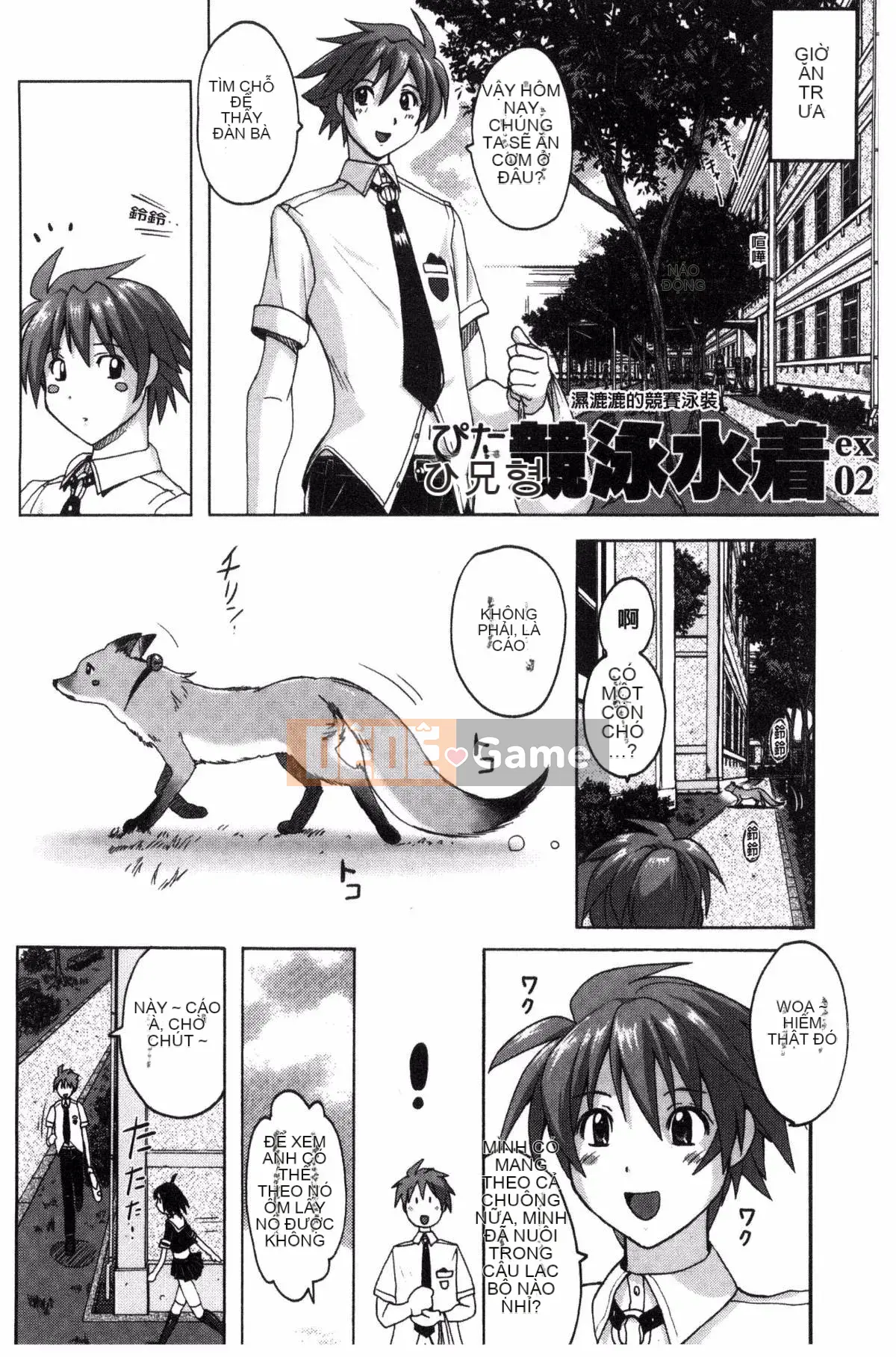 [Murasaki☆Nya~] Keo Sex ~ Bộ sưu tập áo tắm Pita Pita