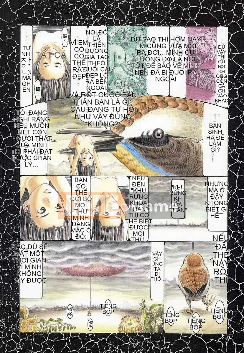 [Biên niên sử Trung Quốc] COMIC Hàn 2008 Số tháng 4 & tháng 5, Số 9 & 10