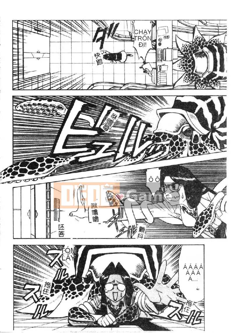 [Kazuhiko Ichikawa] Xúc tu