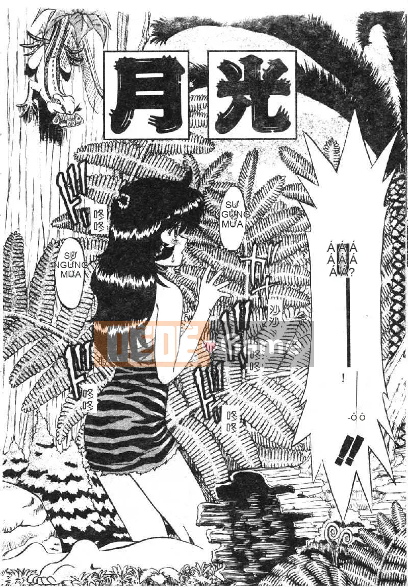 [Kazuhiko Ichikawa] Xúc tu