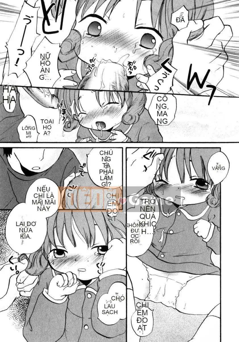 [Nhật ký hàng ngày] Sono Gel tập 8