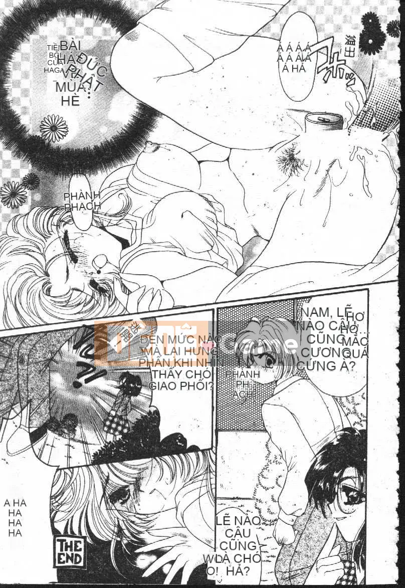 [Tuyển tập] Shitari