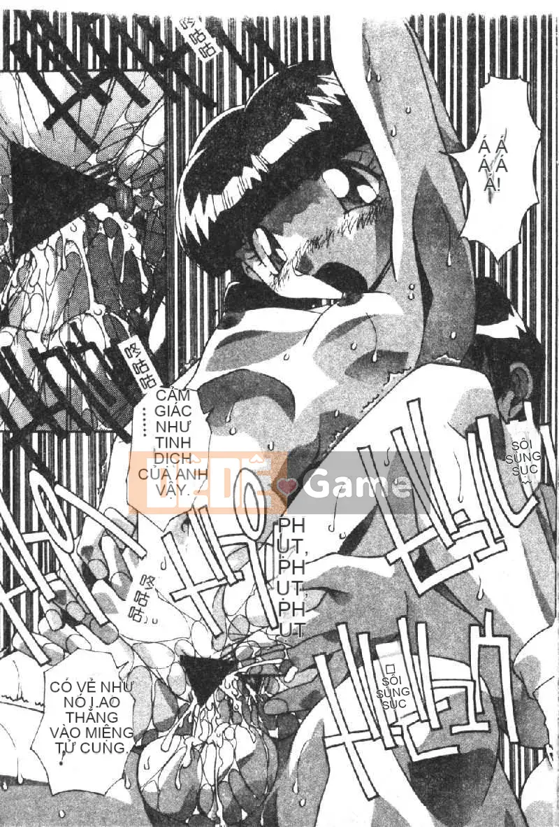 [Hindenburg] Loạn luân Anh Chị Nikuyoku