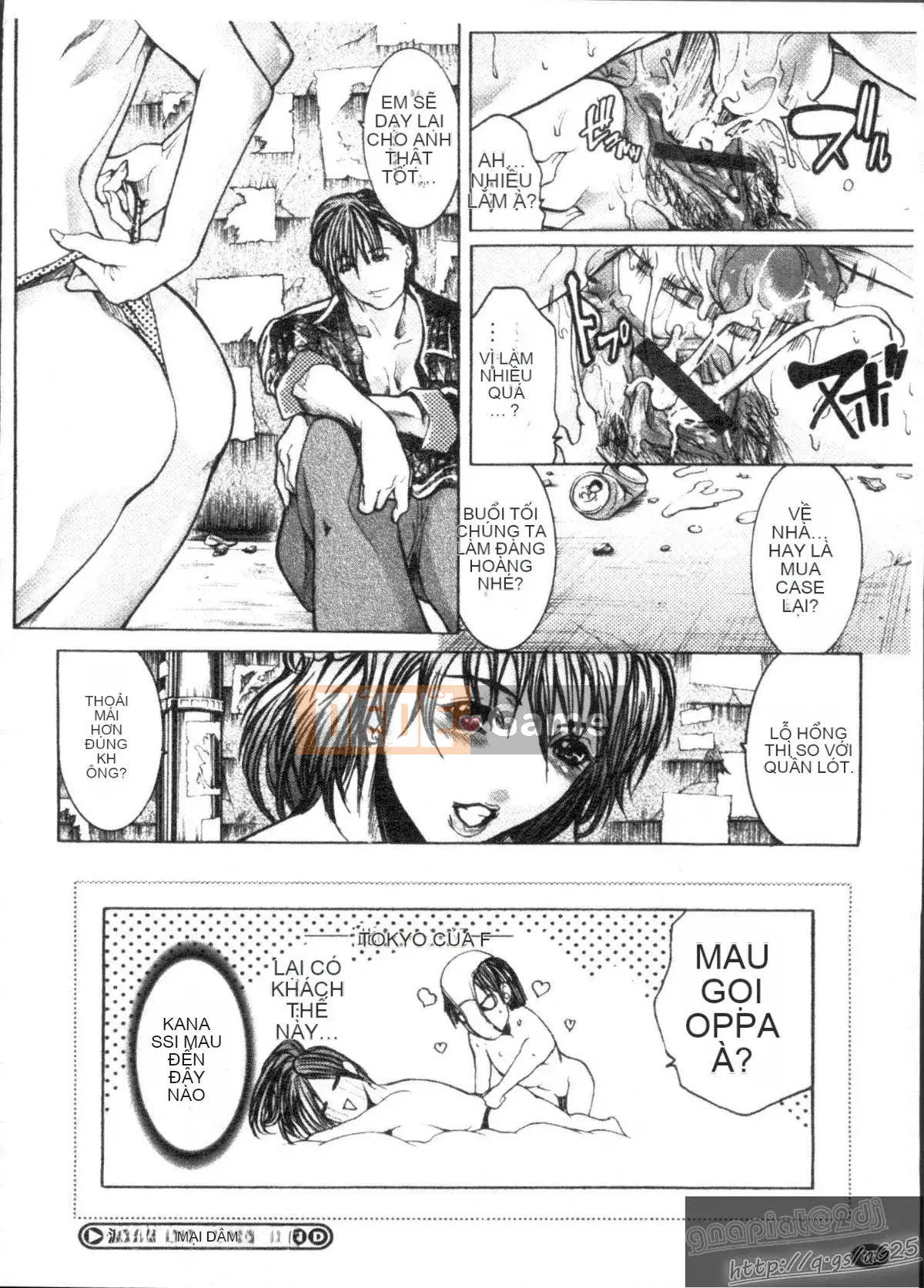 [GRIFON] Sữa gừng