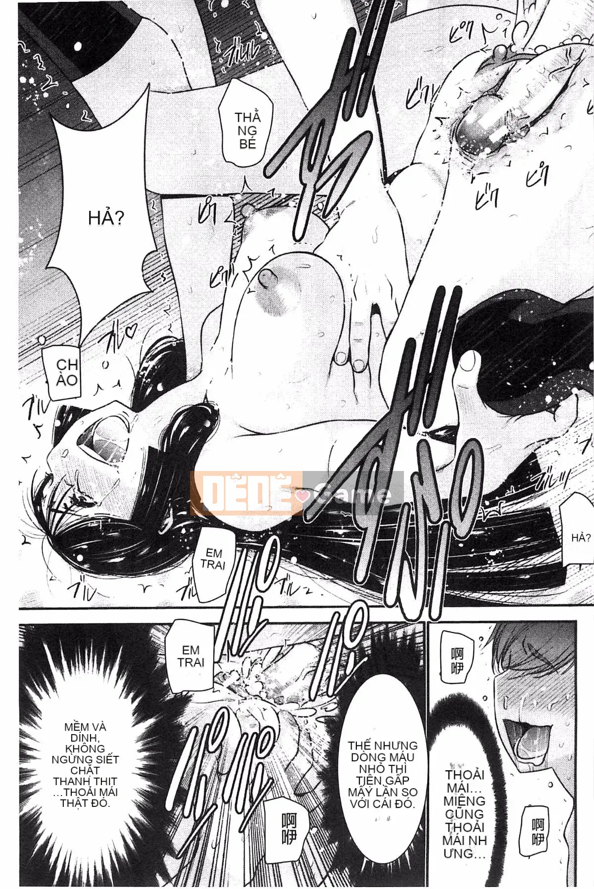 [Thiết bị Moriya] Anetsuki