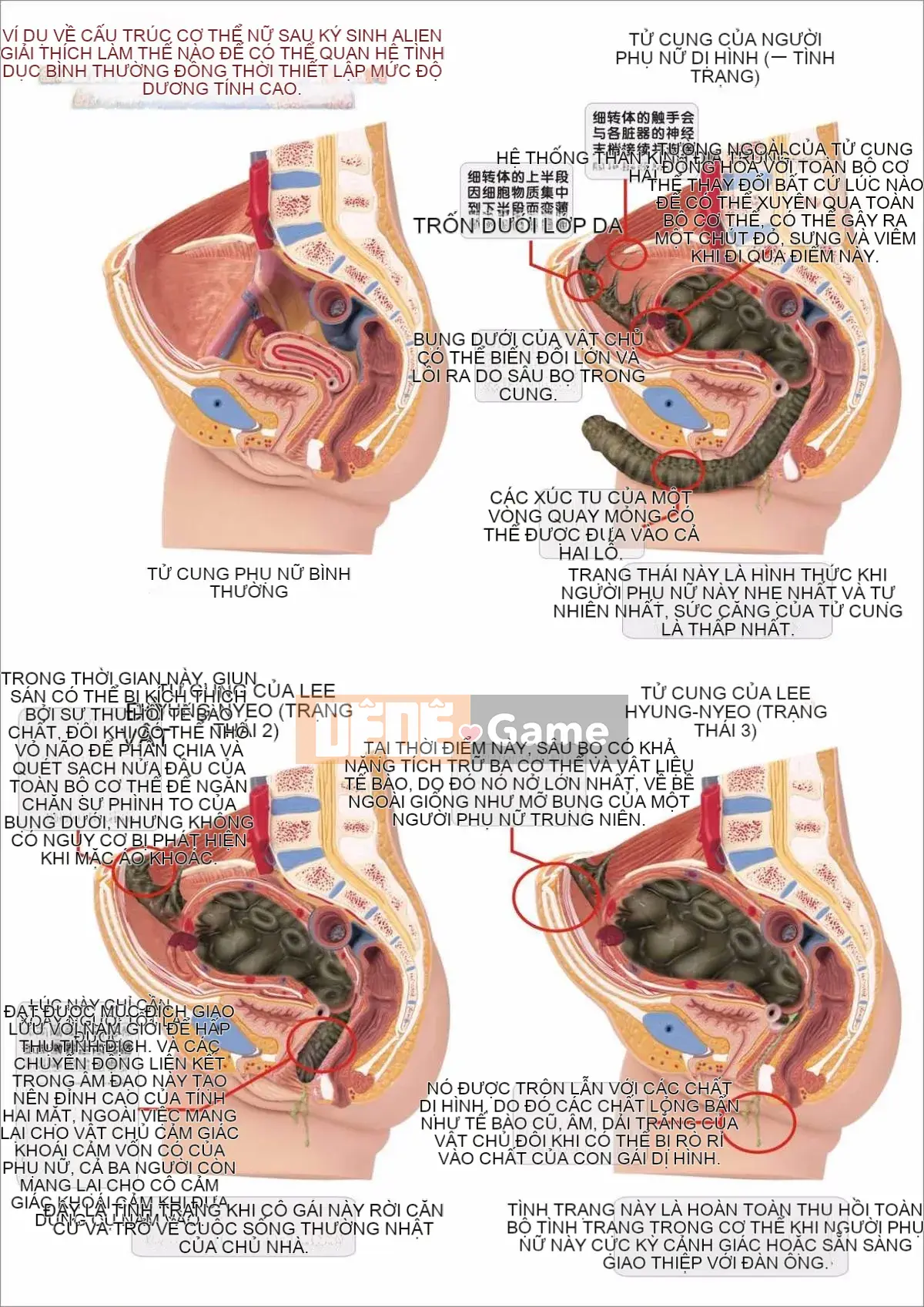 [Heo đỏ] Cô gái ngoài hành tinh
