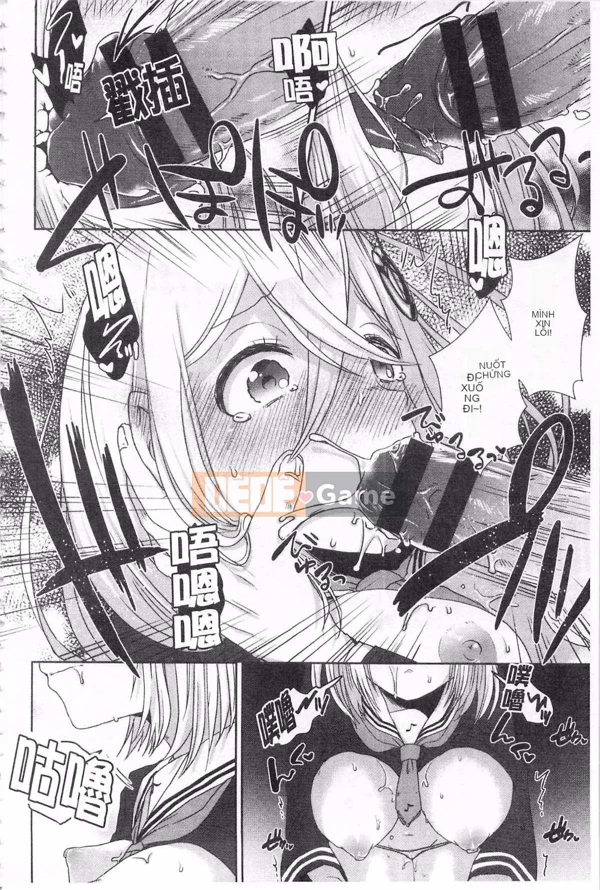 [Tôm Ebina] Puriman tươi