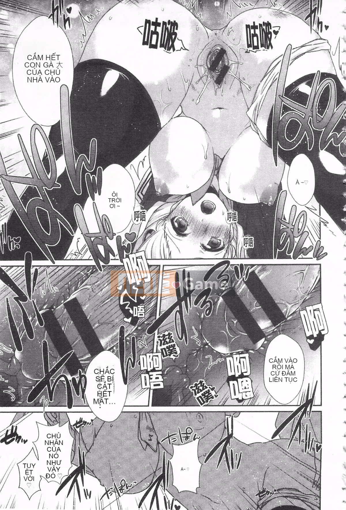 [Tôm Ebina] Puriman tươi