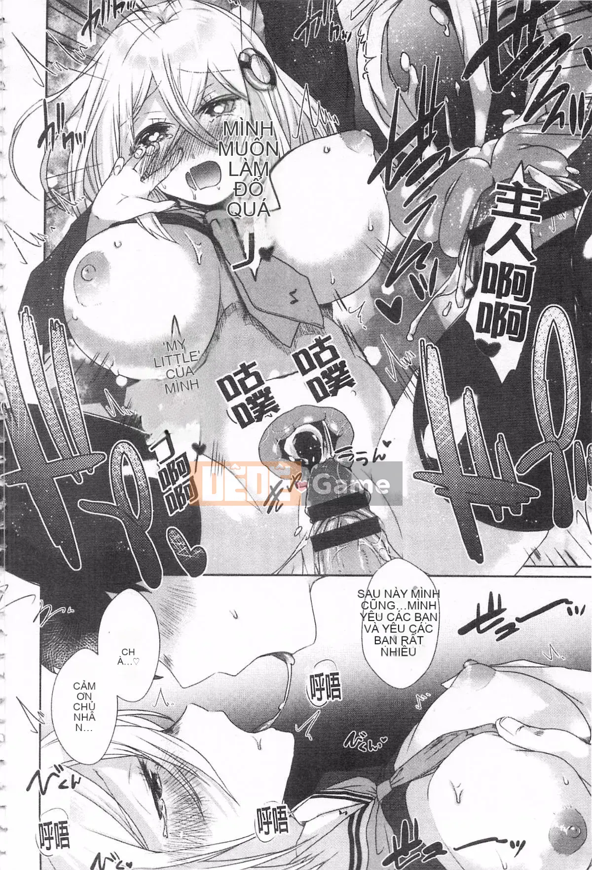 [Tôm Ebina] Puriman tươi