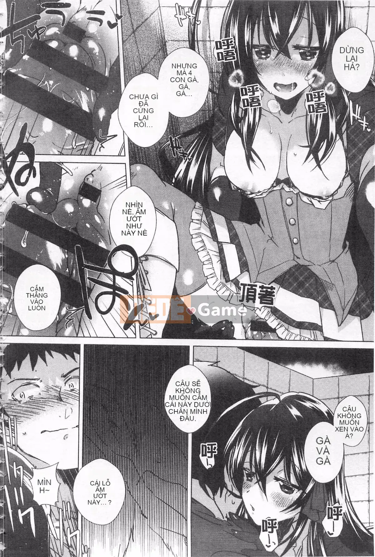 [Tôm Ebina] Puriman tươi