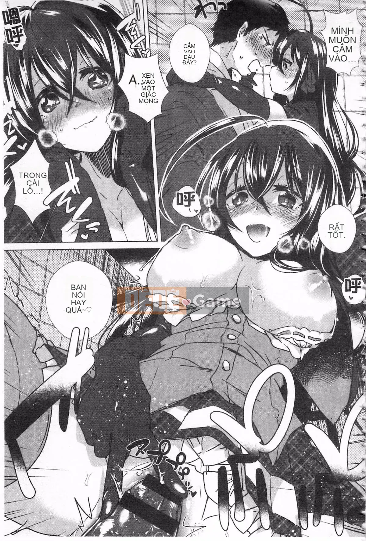 [Tôm Ebina] Puriman tươi