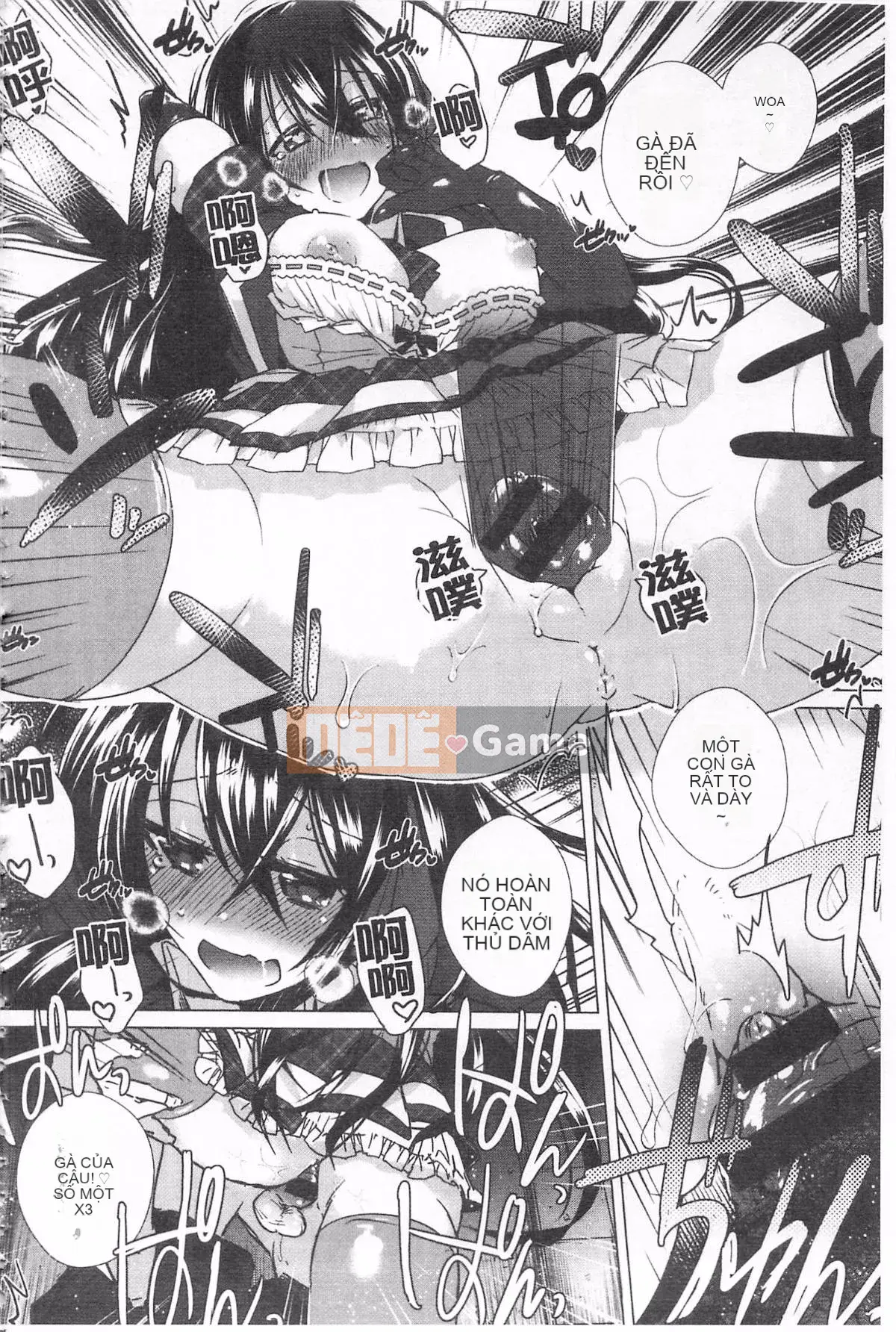 [Tôm Ebina] Puriman tươi