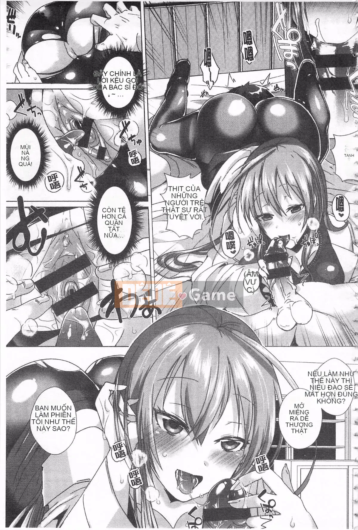 [Tôm Ebina] Puriman tươi