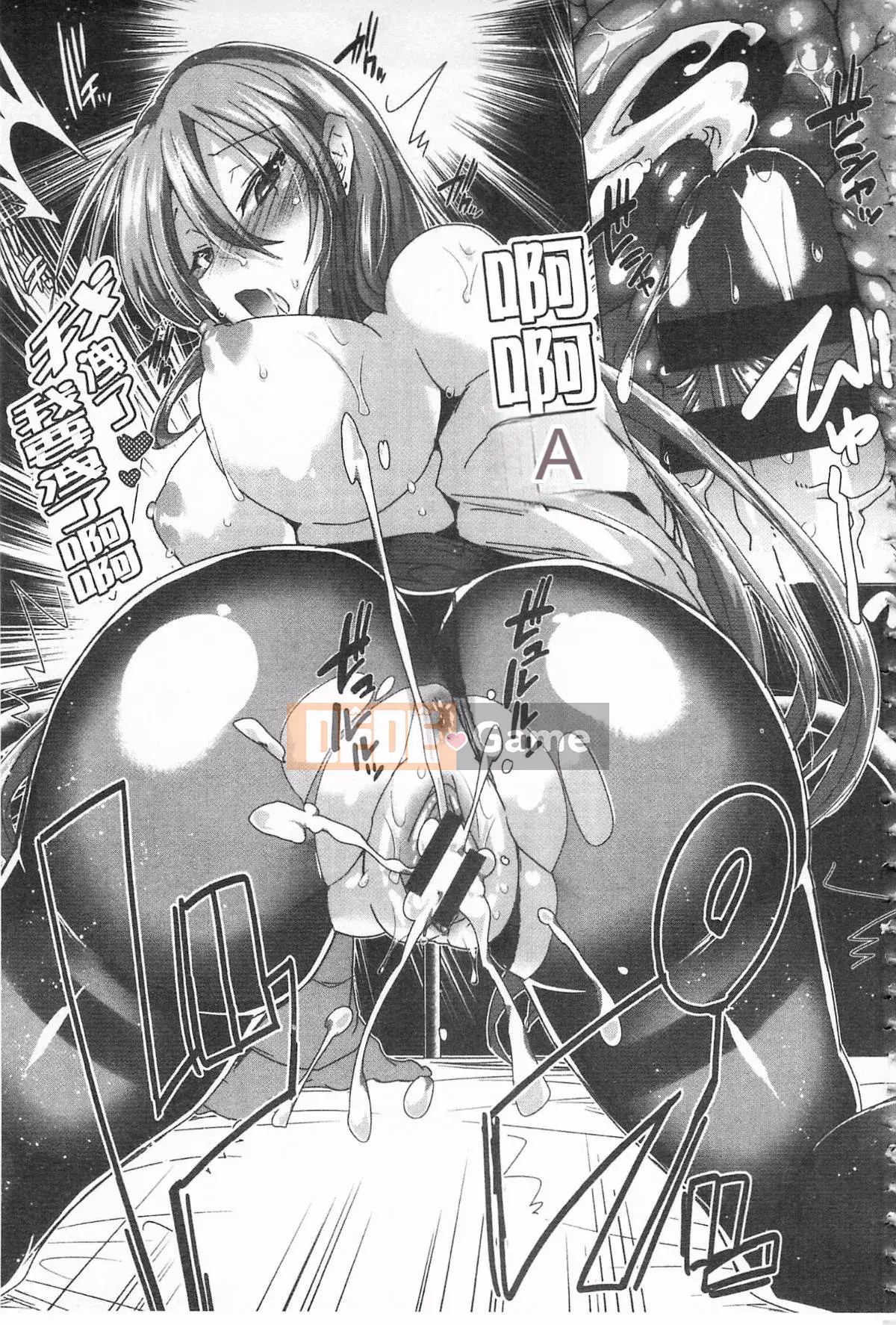 [Tôm Ebina] Puriman tươi